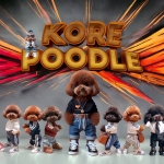 Kore Poodle profil fotoğrafı