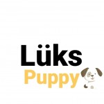 Lüks Puppy profil fotoğrafı