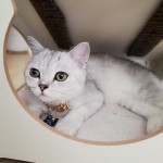 Ferda Türkeli profil fotoğrafı