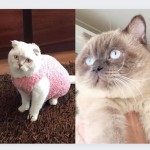 ezgi burdur profil fotoğrafı
