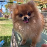 Seda yildiz profil fotoğrafı
