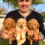Kadir seçkin profil fotoğrafı