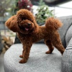 Emre kocagöz profil fotoğrafı
