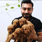 Türkay profil fotoğrafı