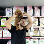 Anadolu Pet Evi profil fotoğrafı