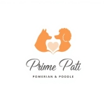PRİME PATİ profil fotoğrafı