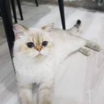 yeliz özkan profil fotoğrafı