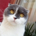 İBRAHİM DEMİRYÜREK profil fotoğrafı