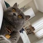 Atakan Köse profil fotoğrafı
