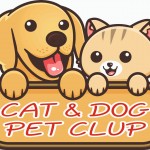 catdogpetclups profil fotoğrafı