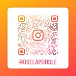 GAMZE ÖZDEMİR profil fotoğrafı