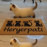 HeryerPati profil fotoğrafı