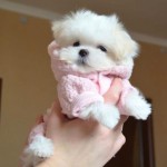 savaş akdem profil fotoğrafı