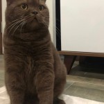umut buran profil fotoğrafı