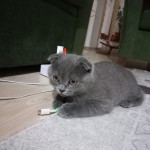 Fatih Olgun profil fotoğrafı