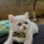 Elvan çelik profil fotoğrafı