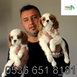 MUSTAFA AYDIN profil fotoğrafı