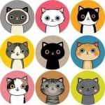 gökhan karaca profil fotoğrafı