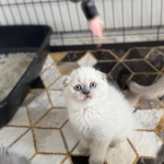 Batuhan Yüce profil fotoğrafı