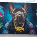 Pet store profil fotoğrafı