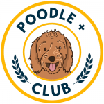Poodlexclup profil fotoğrafı