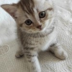 gizem ateşçidir profil fotoğrafı