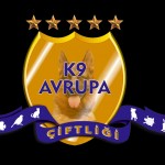 Mücahit Güneş profil fotoğrafı