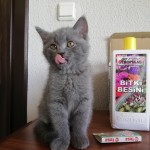 Eyüp Can profil fotoğrafı