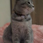 busra kaymaz profil fotoğrafı