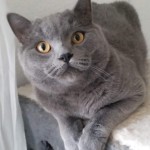 vahit bintepe profil fotoğrafı