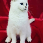 Emin AYDIN profil fotoğrafı